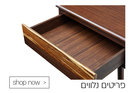פריטים נילווים