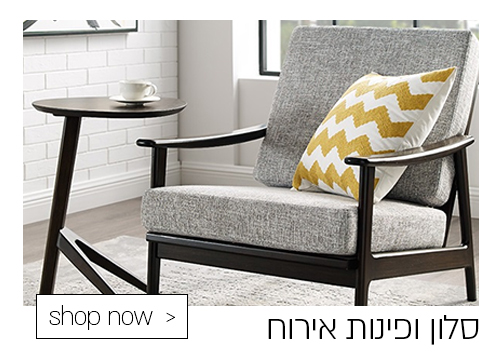 סלון ופינות אירוח